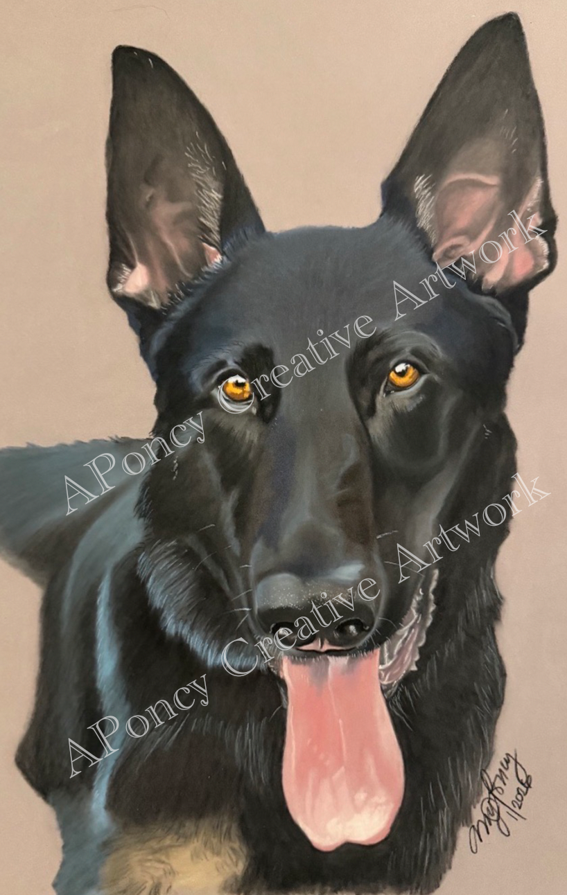 Black German Shepherd looking at view. Tongue hanging out, panting.