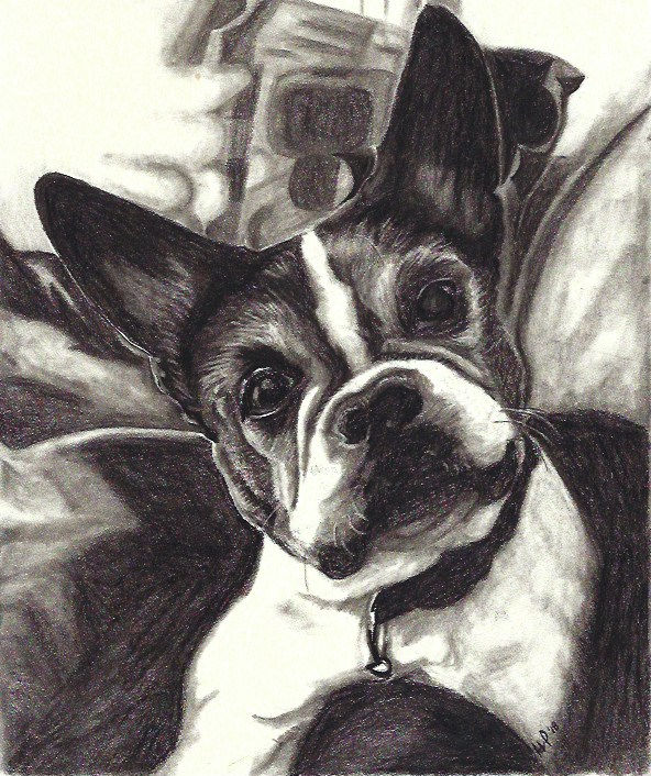 Phoebe 1