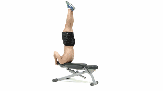 Dragonfly sit ups hotsell