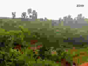 Hesaraghatta Earth Kitchen Homestay conservation nature Bangalore