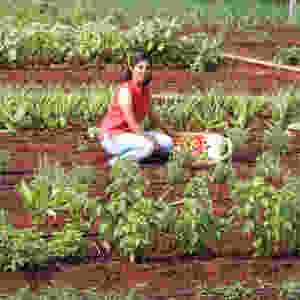 Earth Kitchen homestay