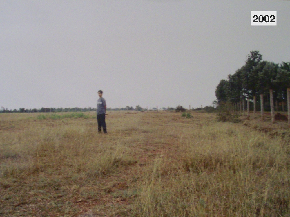 Hesaraghatta Earth Kitchen Homestay conservation nature