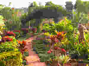 Hesaraghatta Earth Kitchen Homestay conservation nature Bangalore