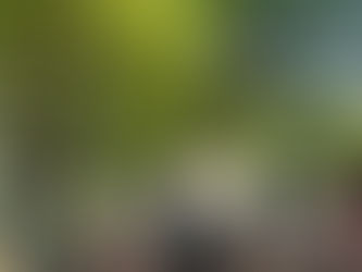 スウェットロッジ参加しました@逗子