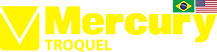 Camada 1.png