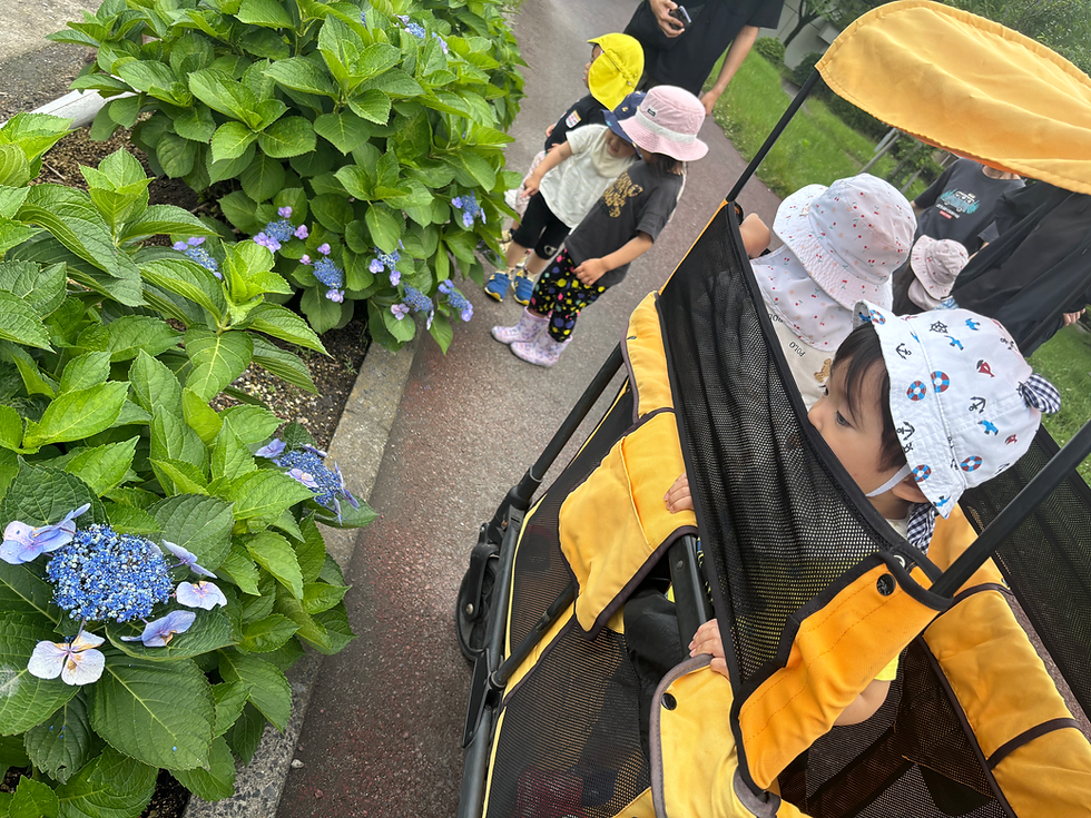 6月6日(土)