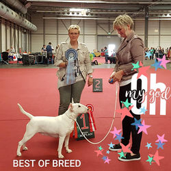 35527363_1009745662516688_4739544991511085056_n