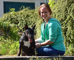 news 2018 vom hause wilke