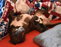 25353912_908355769322345_3395720985018171250_n