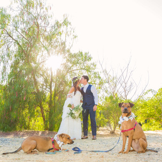 GoShiggyGo Wedding Photographer Shiggy Ichinomiya