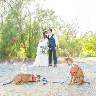 Wedding couple with their two dogs looking at them, Light and airy editing Pet photography at weddings. Los Angeles Wedding Photographer. GoShiggyGo Shiggy