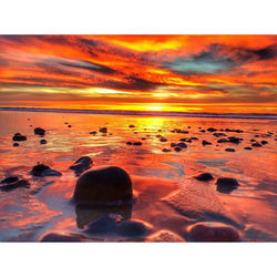 Nature's natural beauty _#sunset