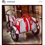 Rovi Moss Boutique Handbag Photoshoot Los Angeles