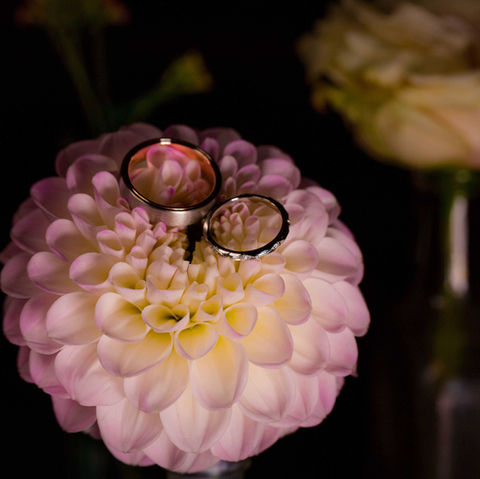 Artistic wedding ring photos on a flower Wedding Photographer Los Angeles Shiggy GoShiggyGo