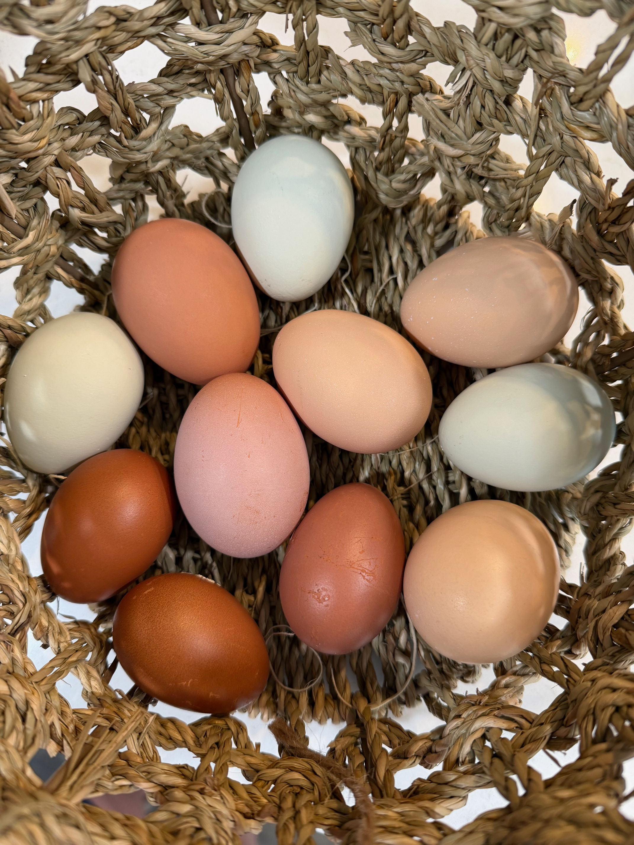 Farm Fresh Eggs