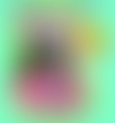 HALLOWEEN FLASH DAY!