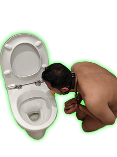 Toilet Slave BDSM