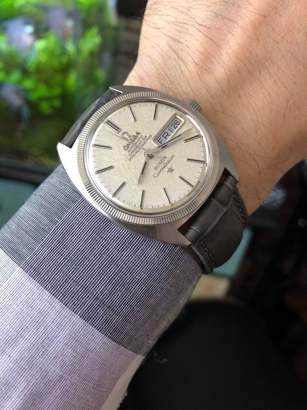 Thumbnail: 1969 OMEGA CONSTELLATION "C" WATCH