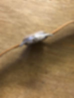 Thumbnail: 1951 LONGINES "SEI TACCHE"