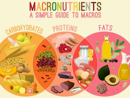 What are Macros? And why do they matter?