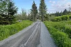 Trail System on Property