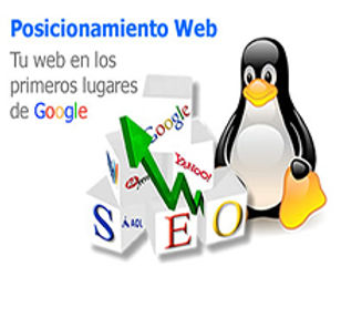 Posicionamiento Web