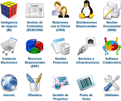 asesoria de software empresarial