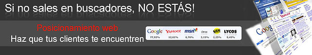 Posicionamiento Web