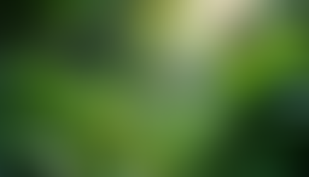 Essential Tips for Staying Safe from Parasites in Humid and Rainy Weather