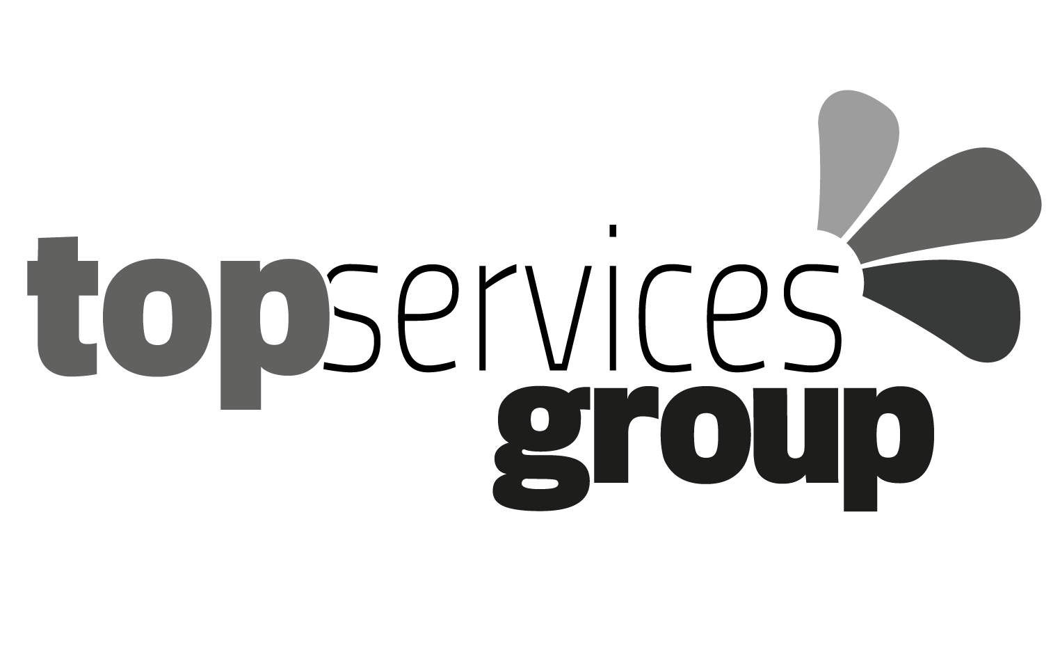 Top_Services–Group-Web.png