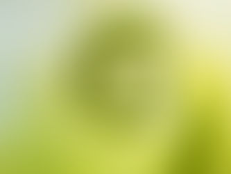 The Evolution of Coaching: From Boardrooms to Bodies, Nature, and Ancient Wisdom