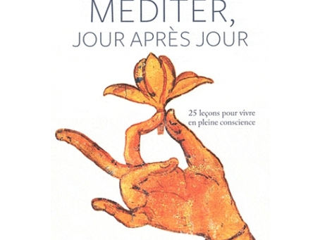Méditer jour après jour de Christophe André