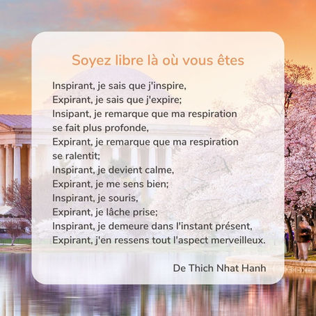 L'instant présent, quelle merveille!🌳