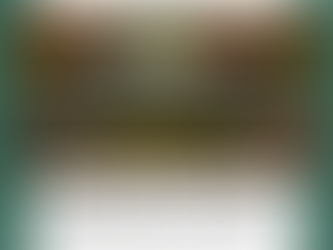 Litijum postaje strateški adut: Amerika menja globalna pravila igre