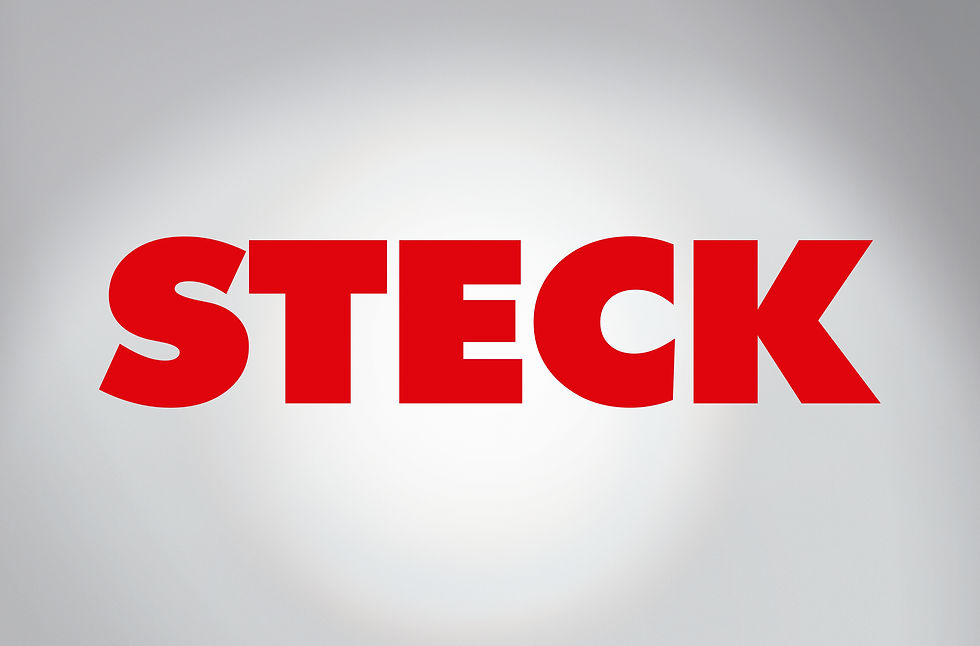 Logo Steck