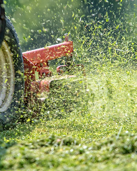 Lawn Mowing