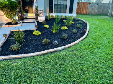 Landscaping Plants
