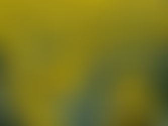 ブログ更新しました！
ひまわり畑～♪(^O^)／