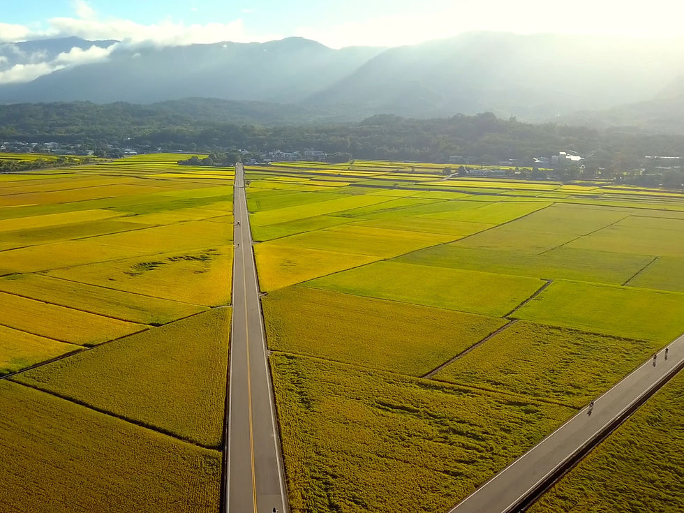 22561_PH_20210423_001 伯郎大道_edited.jpg