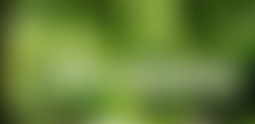 TOTAL GUIDE TO PARKS AND OPEN SPACES IN POOLE