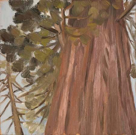 Sequoia National Park