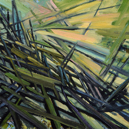 Study for Transitioning