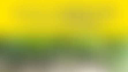 【あおとき保育園設立計画】05 デンマーク森のようちえん視察編