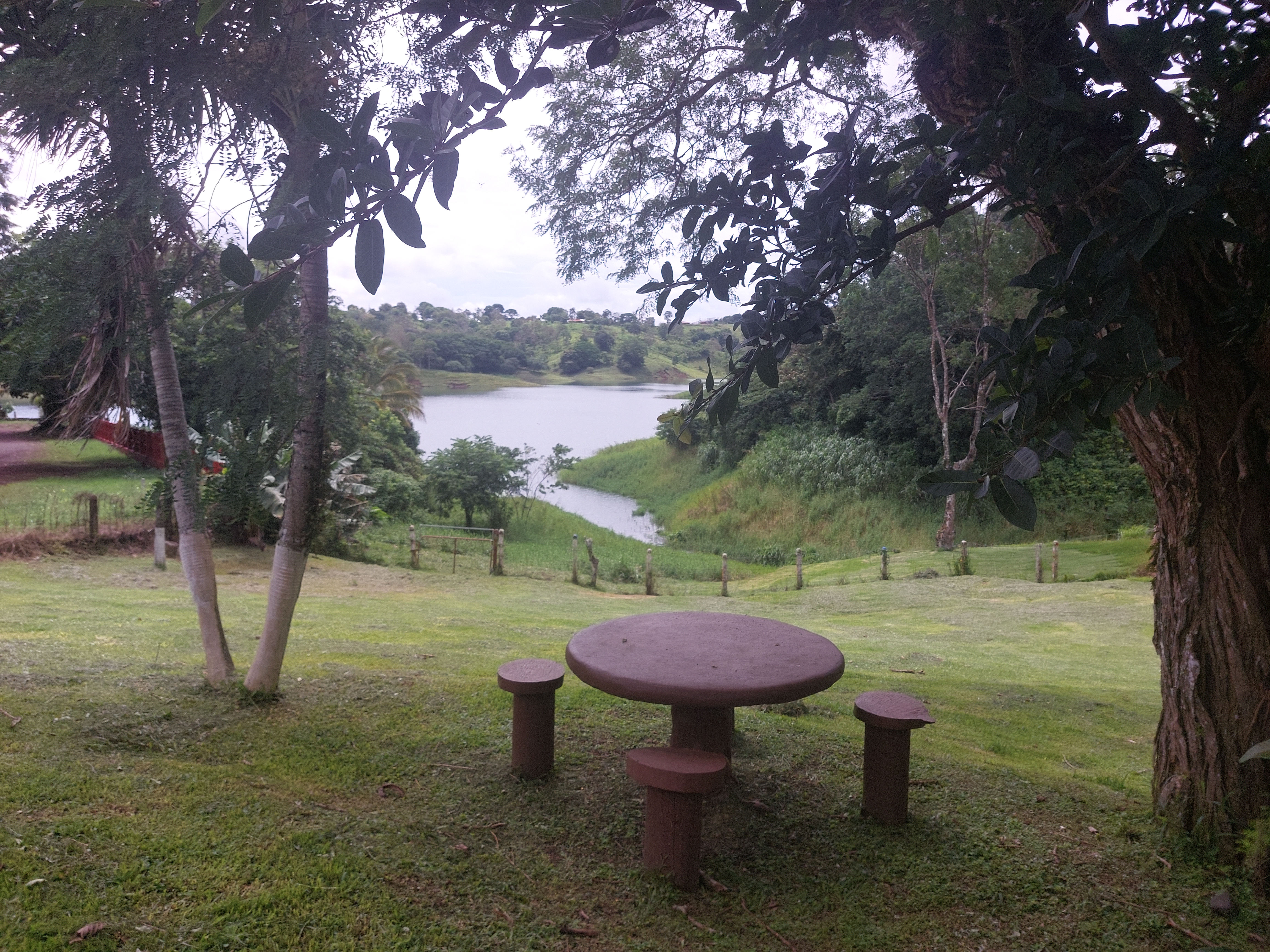 Beautiful 2 BD/2BA Cotagge + office, large enclosed backyard 