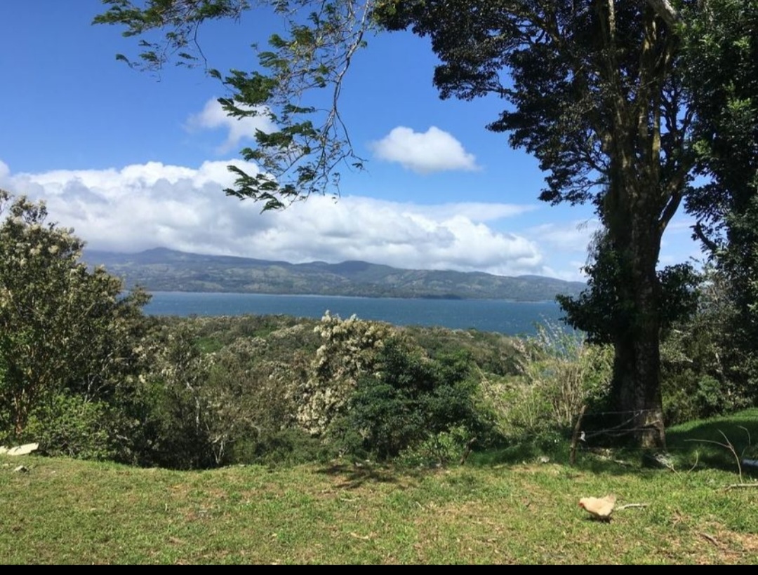 Cozy, 1BD/1BA Lake View Cabin in Gated Community w/ Utilities