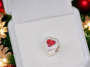 christmas themed red heart silver cham with horsehair inside.