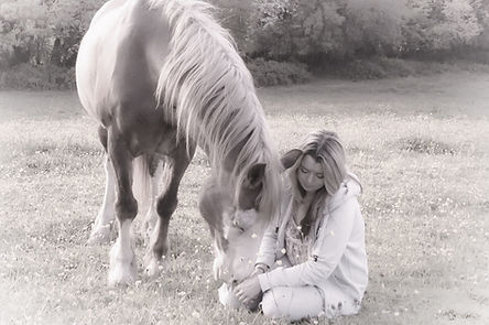 horse and owner bond