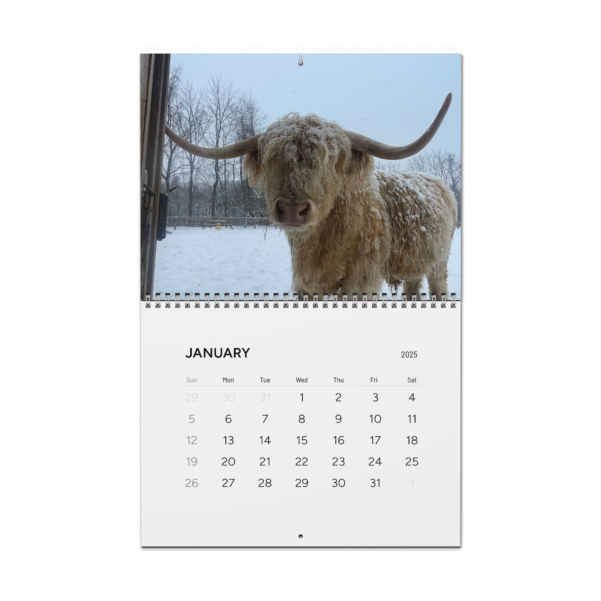 Copy of Wall Calendars (2025)