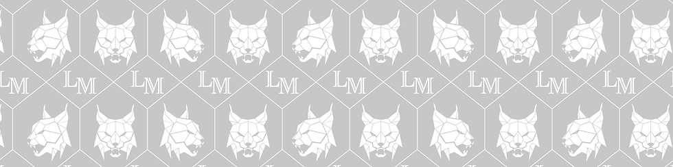 Luxtin Maison web Logo