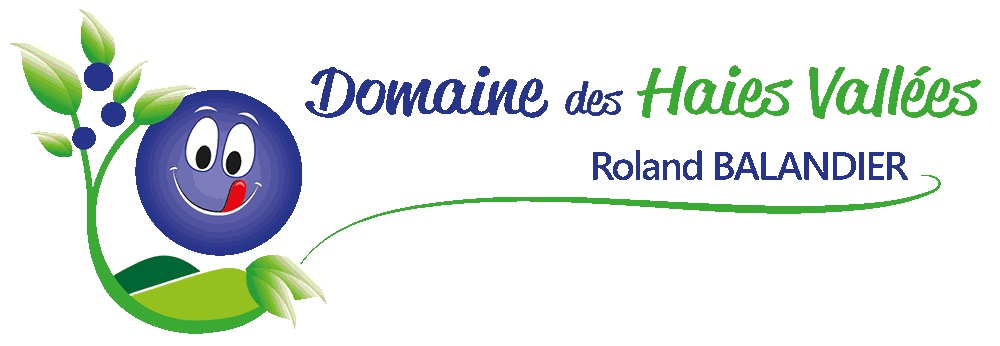 Recherche de nom et création d'un logo naturel et gourmand pour les bluets de Roland Balandier
